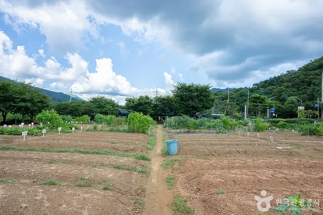 원두막주말농장 사진
