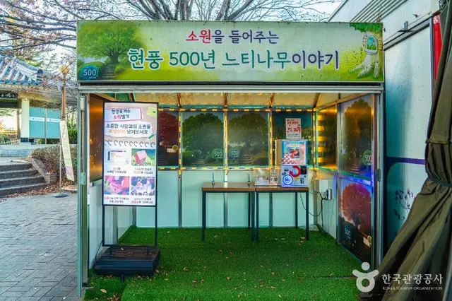 현풍 500년 느티나무 테마공원 사진