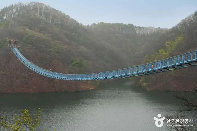 초평호 미르309 출렁다리 사진