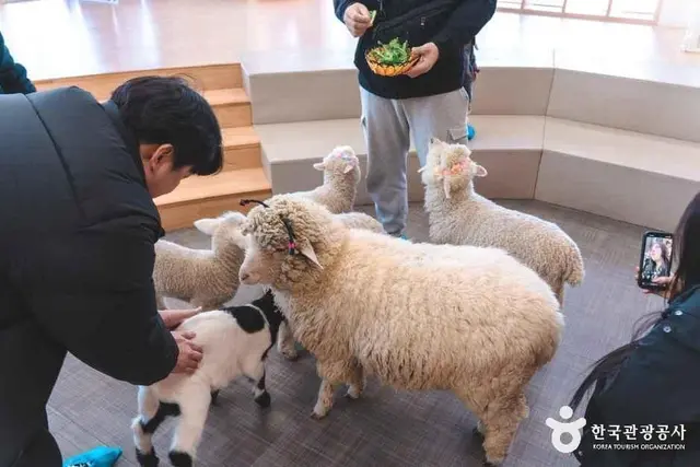 블랙스톤 벨포레 목장 사진