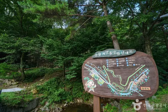 산삼 자연휴양림 사진