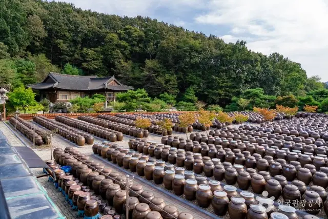 세종전통장류박물관 사진