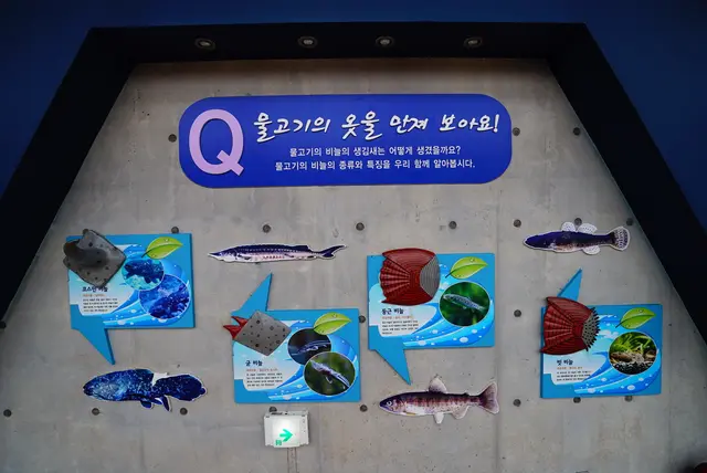섬진강어류생태관 사진