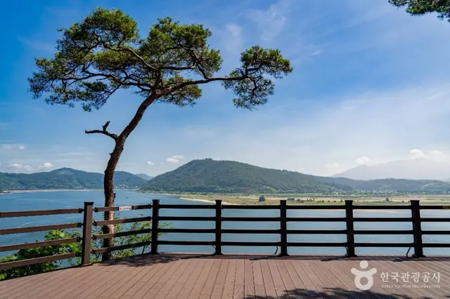 배알도 섬 정원 사진