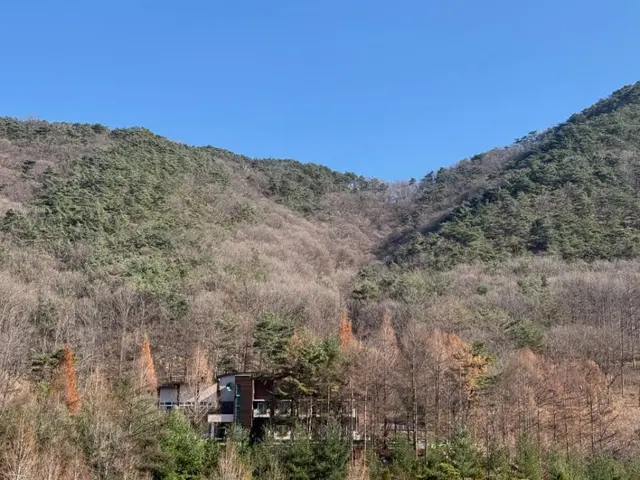 충북알프스자연휴양림 사진