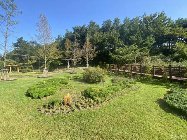 설악산 자생식물원 사진