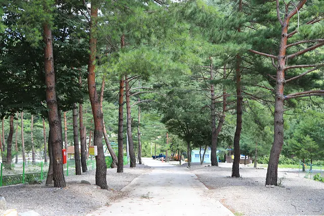 덕풍계곡캠핑장 사진