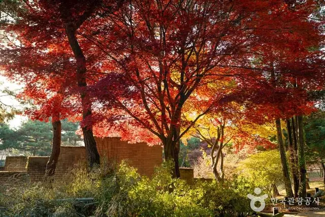 한국도로공사 전주수목원 사진