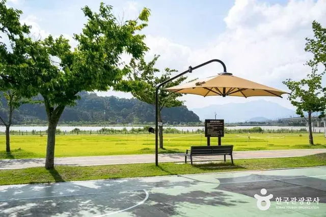 칠곡보 생태공원 사진