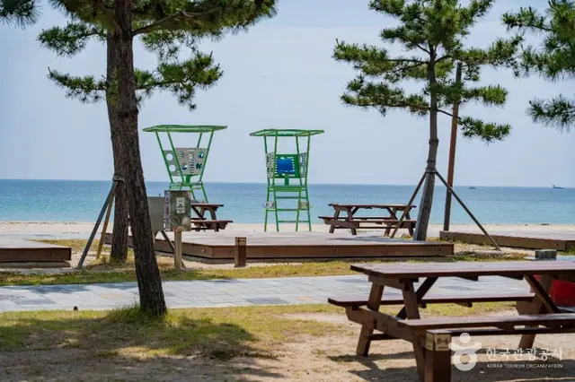 송지호해수욕장 사진