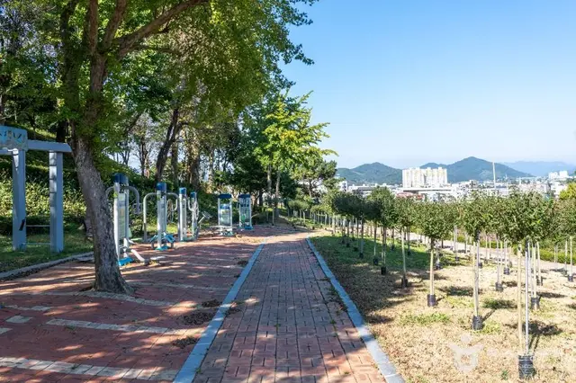 장성무궁화공원 사진