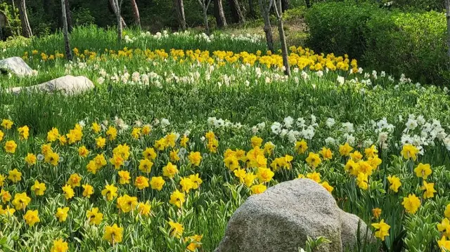 바다향기수목원 사진
