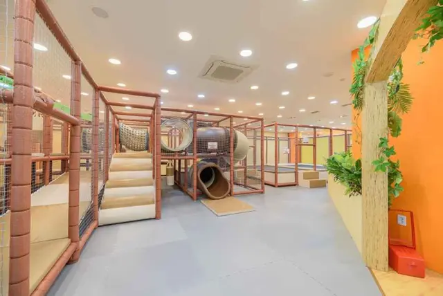 쥬라리움 동탄점 사진