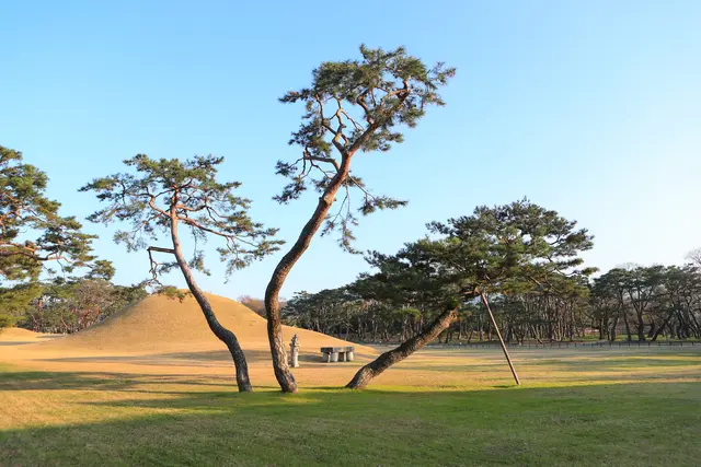 오릉 사진