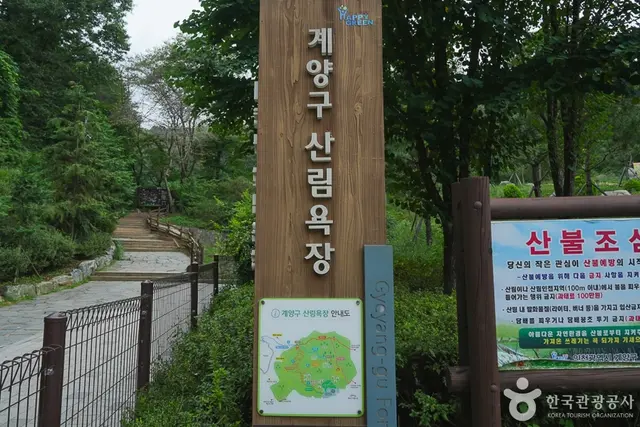 계양산 산림욕장 사진