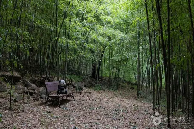 국립오서산자연휴양림 사진