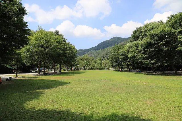 치악신림오토캠핑장 사진
