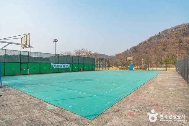 수성패밀리파크 사진