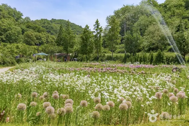 율곡수목원 사진