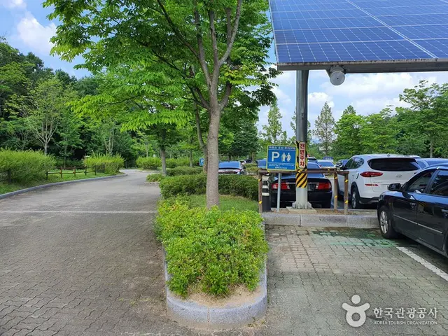 여주 황학산수목원 사진