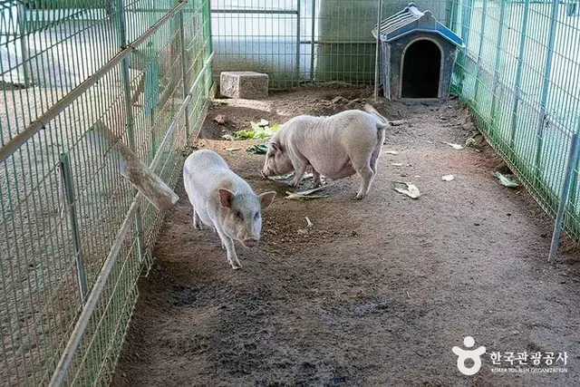 찬우물 체험 동물농장 사진