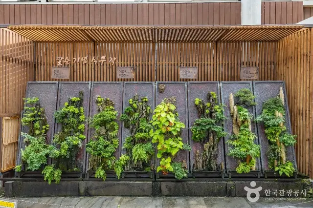 방림원 사진