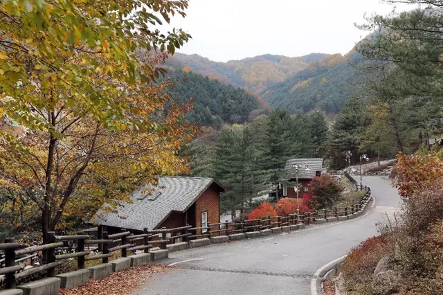 칼봉산자연휴양림 사진