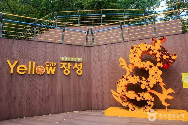 황금빛 출렁다리 사진