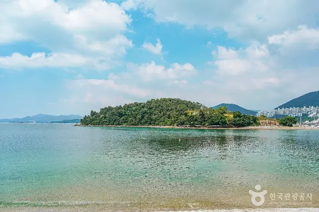 예술의 섬 장도 사진