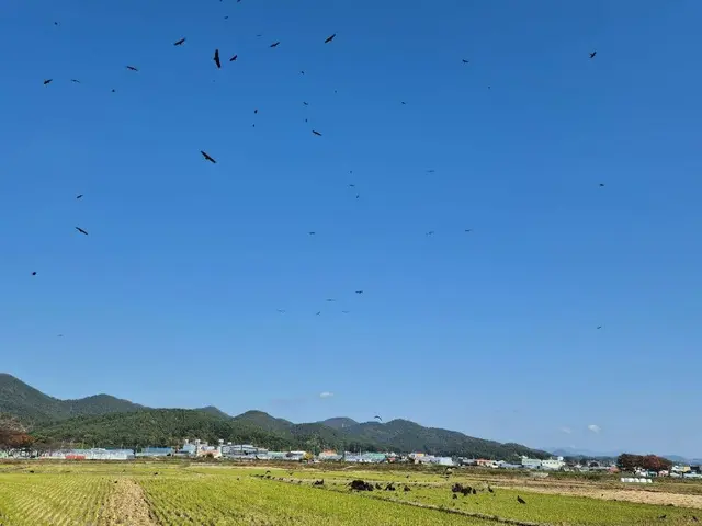 고성독수리생태체험관 사진