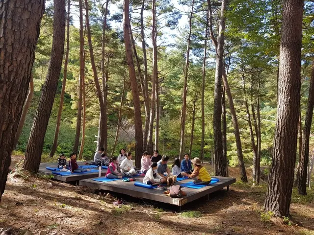 국립검마산자연휴양림 사진
