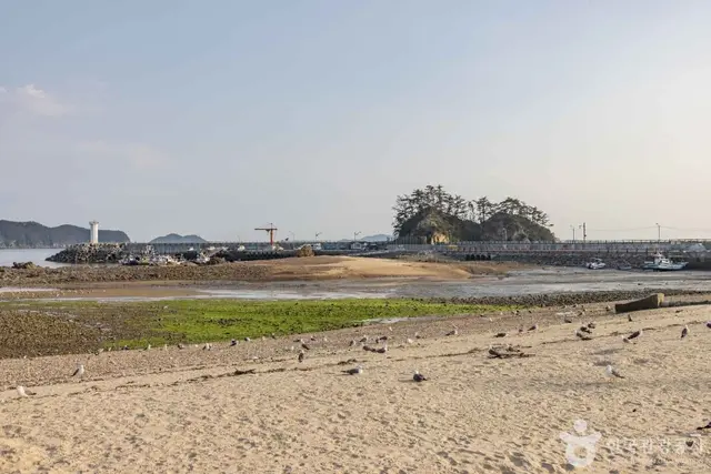어은돌해수욕장 사진