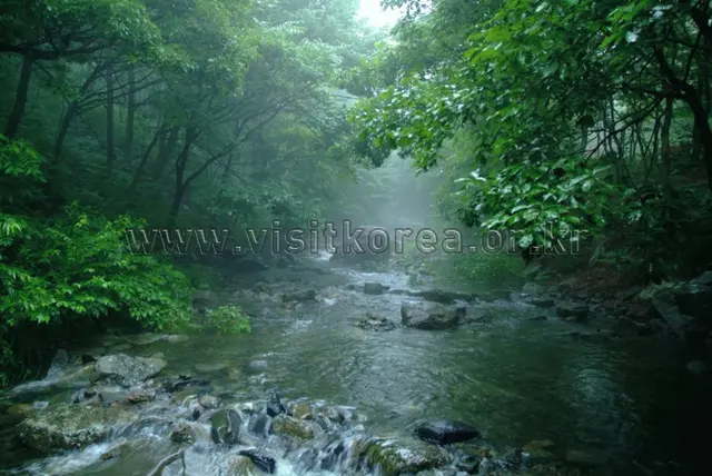 성주산자연휴양림 사진