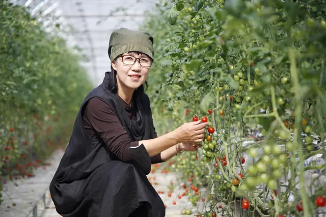 임실레드팜 사진