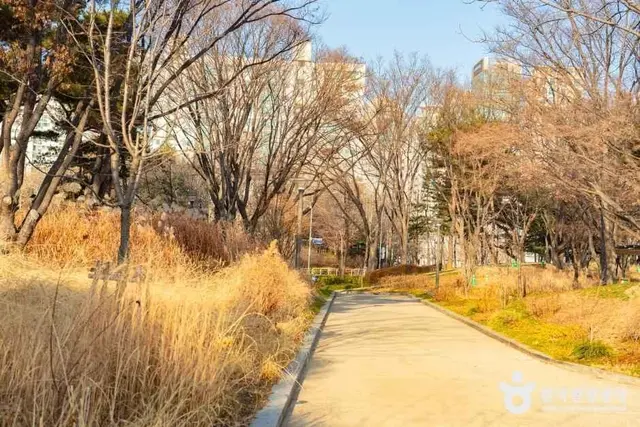 양천공원 놀이터 사진