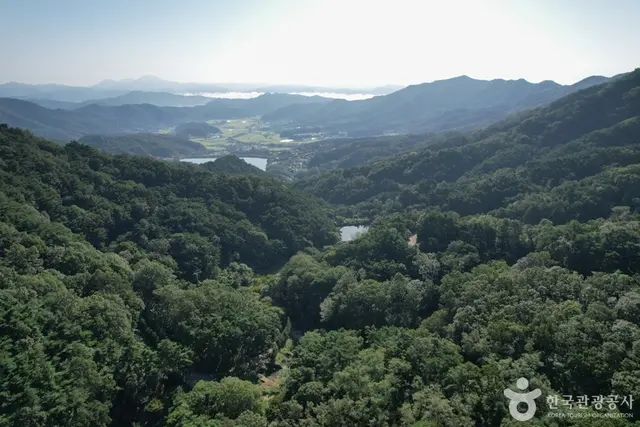 미숭산자연휴양림 사진