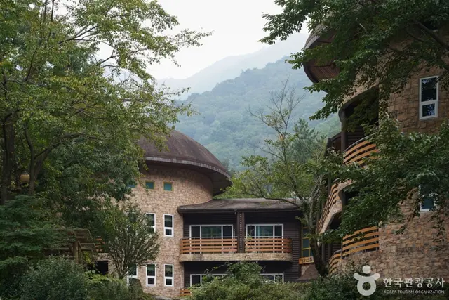 국립 운문산자연휴양림 사진