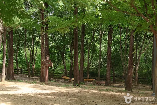 월드컵공원 유아숲체험원 사진