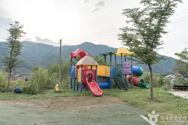 늘푸른체험농원 사진