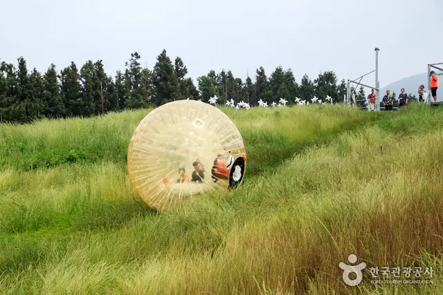 빅볼랜드 사진
