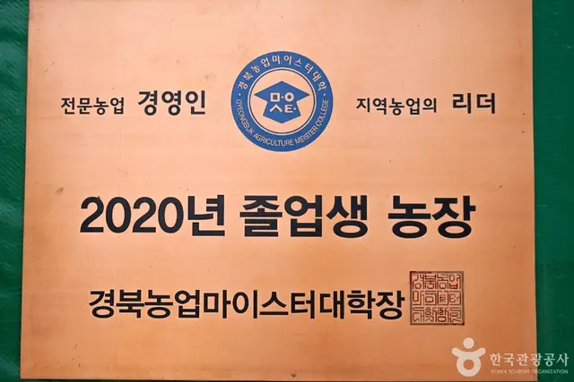 널위한딸기농장 사진