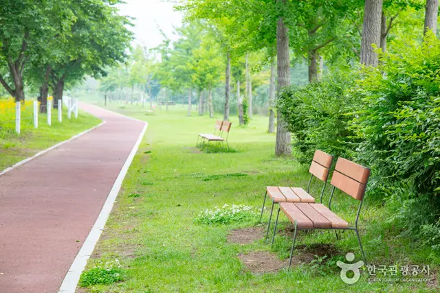 춘천 하중도수변생태공원 사진