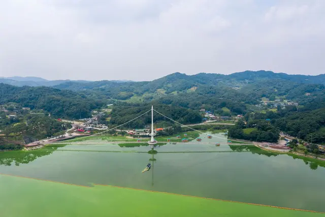 예당호 출렁다리 사진
