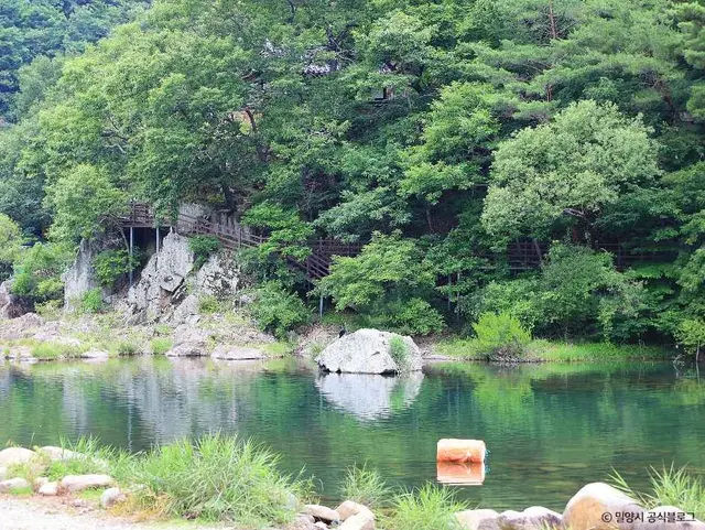 밀양유원지오토캠핑장 사진