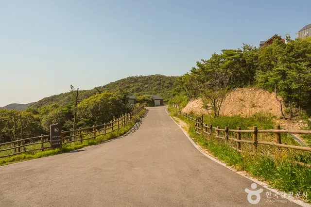 국립무의도자연휴양림 사진
