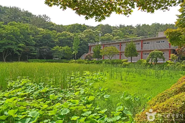 지당자연사박물관 사진