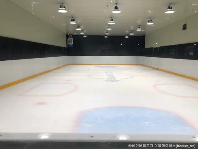 블랙아이스링크장 사진