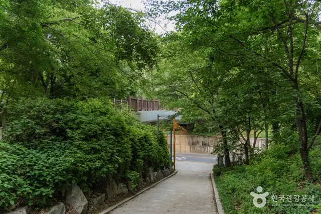 서리풀공원 사진