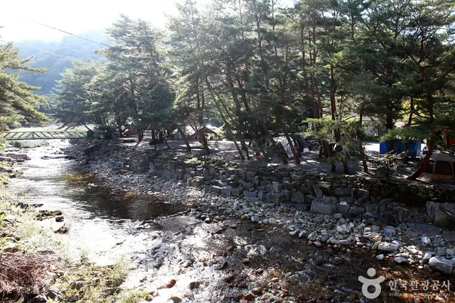법흥계곡 사진