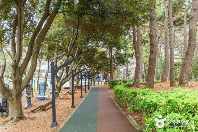 삼무공원 사진